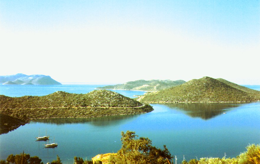 IPB Image