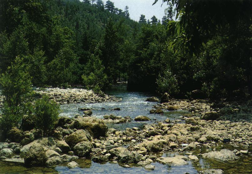 IPB Image