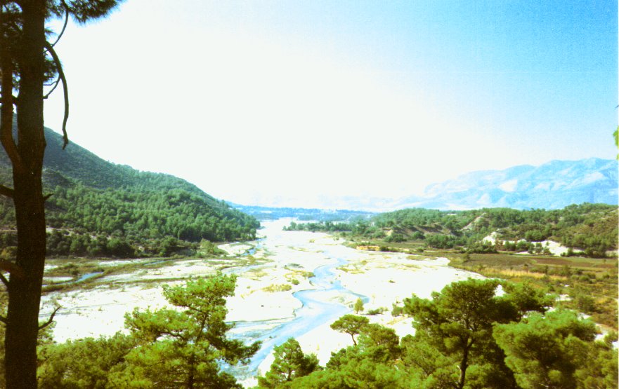 IPB Image